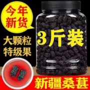 迎花堂 新疆黑桑葚干 250g