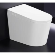 R&T 瑞尔特 D5 智能马桶一体机