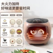 Desadi 德萨帝 德国电饭煲 内胆家用小型 双胆二合一煮饭煲汤 多功能3升粉咖色