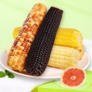 珍谷诱惑 东北糯玉米 非转基因 白糯玉米10支*200g