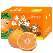 鲜菓篮 四川春见耙耙柑 4.5斤(65-70MM)