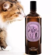 SEEDSHUB 粒子森林 消毒液 800ml+喷雾瓶