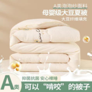 COUNT SHEEP 老plus价！A类泡泡纱大豆被冬加厚大豆纤维被芯150*200(6斤)