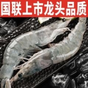GUOLIAN 国联 整箱4斤16-19cm超大白虾深海对虾水冻海虾鲜活基围虾新鲜大虾