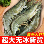 渔和苑 国产青岛大虾 青虾白虾海虾基围虾 精选青岛大虾3040净重2.8-3斤