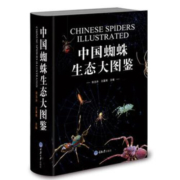 中国蜘蛛生态大图鉴 昆虫图鉴蜘蛛学蜘蛛生态识别 蜘蛛知识档案书动物百科