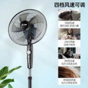 限移动端：CHIGO 志高 电风扇 五叶三挡定时