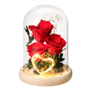 依雯然（Ivenran）玫瑰花永生花礼盒生日礼物女圣诞节礼物送女生情人节结婚纪念日