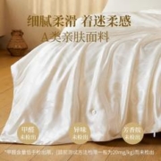 YANXUAN 网易严选 100%蚕丝被抗菌被子春秋被