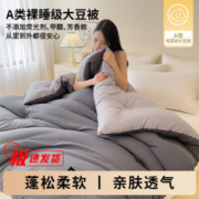 浪漫花语 冬季A类大豆纤维被 200*230cm6斤