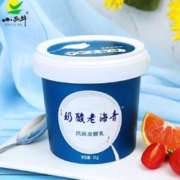 小西牛 高原牧场 青海桶装老酸奶 原味1kg*2桶