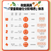 秋田满满 益生菌溶豆草莓味18g儿童零食婴幼儿辅食溶豆_享宝宝零食食谱