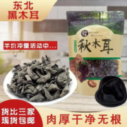 食界君 黑木耳野生椴木无根干木耳特级小碗耳小朵新货 500g