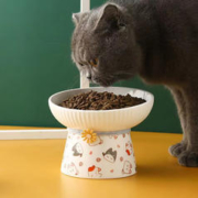 Lanswood 猫碗陶瓷护颈宠物碗斜口碗