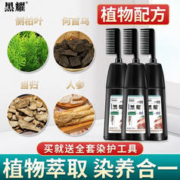 HANJINLIANG 韩金靓 黑耀易梳彩染发剂不沾头皮遮白发泡泡无刺激植物自己在家染发膏 金咖巧克力色200ml