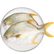 翔泰 冷冻海南金鲳鱼500g/2条ACS 生鲜鱼类 深海鱼火锅食材 海鲜水产