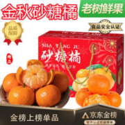闽农语果 砂糖橘 优选9斤鲜果