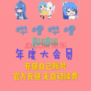 bilibili 哔哩哔哩 大会员年卡 12个月 1年卡