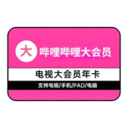 哔哩哔哩电视大会员vip年卡 12个月
