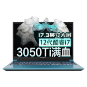 七彩虹（Colorful）隐星P15 15.6英寸i7 4060满血电竞游戏笔记本视频剪辑PS设计师大屏手提电脑 i7-12650H/32G+1TB/定制升级 RTX4060-8G 165Hz 2.5