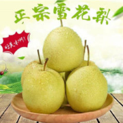 盛果拾 雪花梨 5斤装