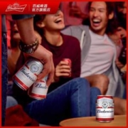 Budweiser 百威 经典醇正迷你啤酒 255ml*24罐