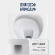 ARROW 箭牌卫浴 直冲式马桶大冲力多场景适用家用抽水坐便器节水12601