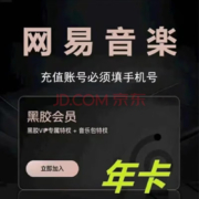 网易云音乐 黑胶VIP会员 12个月 年卡