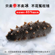 极丰臻鲜 海参即食大连辽刺参200g 8-11只速食水产海鲜礼盒大礼包