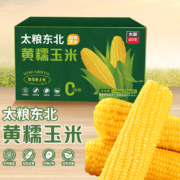 PLUS会员：太粮 黄糯鲜食玉米 220g*8穗