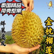 朕氏果记 泰国 巴掌榴莲 2-3斤装保3房