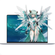 京东百亿补贴：华为 MateBook D14 14英寸全新英特尔酷睿超轻薄高性能本