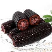Plus会员:京百味 吉林黑糯玉米棒 200g *19件+凑单品