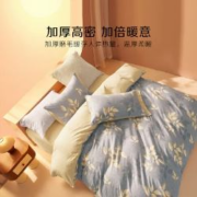 10日0点：BLISS 百丽丝 纯棉磨毛被套 四件套 1.5米 适配200*230cm被芯