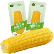珍谷诱惑 东北糯玉米 新鲜甜糯玉米棒 黄糯玉米8支