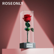 ROSEONLY永生花为爱而生玫瑰花盒朋友求婚送女友生日结婚纪念日圣诞礼物 红色-1枝-HOT