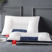 88VIP会员：南极人 决明子薰衣草枕头单人双人荞麦助睡眠护颈椎枕芯家用