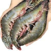 京东百亿补贴：东上御品 15-18cm 单只超大虾 鲜冻大虾4斤