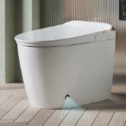 JOMOO 九牧 S560I 即热式智能马桶