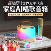 诺必行 无线蓝牙音箱小型k歌家用重低音炮话筒音响—体麦克风家庭KTV套装