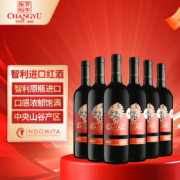 张裕 先锋智利 科帕尔 赤霞珠干红葡萄酒 750ml*6瓶 +凑单品
