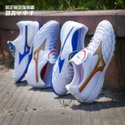 美津浓（MIZUNO）小李子:Mizuno/美津浓WAVE CUP里瓦尔多AS碎钉袋鼠皮成人足球鞋男 白金色P1GD201962 42.5 275MM