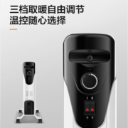 澳柯玛（AUCMA）13片油汀取暖器/取暖器家用/取暖电器/电暖器/电暖气片烤火炉油丁13片电热油汀电暖炉206-13