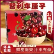 JOYVIO 佳沃 智利车厘子5斤原箱2J级当季新鲜水果脆甜多汁孕妇宝宝整箱包邮