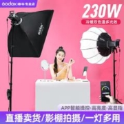 Godox 神牛 LA200D/Bi补光灯双色温LED摄影影棚常亮视频直播补光灯