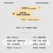 CAPTAIN GEORGE 乔治队长 冬季上新 危地马拉 茵赫特 马拉维瑰夏 100g