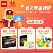 乐高（LEGO）积木机械组42096保时捷911RSR 10岁+男孩儿童玩具赛车圣诞礼物