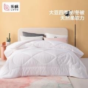 20点开始、PLUS会员：LOVO 乐蜗家纺 柔肤压花大豆纤柔冬被 220*240cm