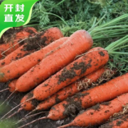 富玉河 新鲜胡萝卜 3斤