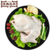 京典光年 生鲜新鲜乳鸽汤鸽350g/只 *5件